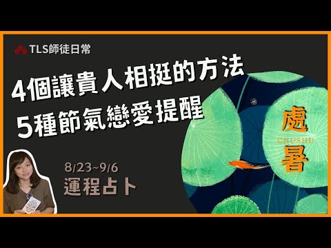 8/23~9/6 運程占卜｜為何總是得不到別人的幫助？把握貴人的心法、戀愛關係經營的方法學、如何追求目標提升成功率 【瑪叩牌卡‧占卜靈術】財運預測 提升能量吉方位