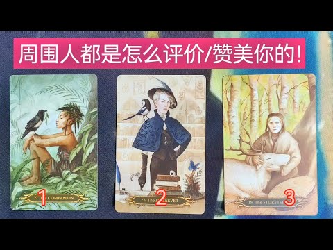 周围的人都是怎么评价/赞美你的！领导 老师 同事 同学 朋友 等