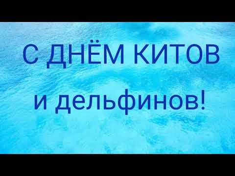 ♡ Самое Красивое Поздравление С Днём Китов И Дельфинов! ♡♡♡