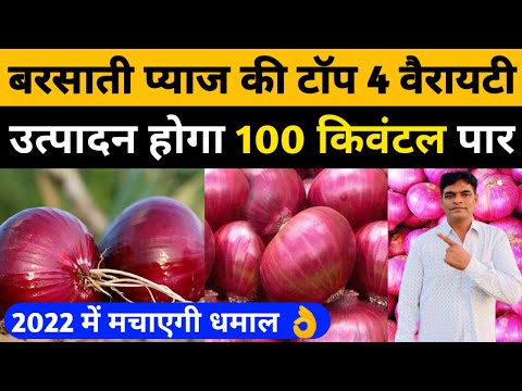 प्याज की टॉप चार वेरायटी। Pyaj ki top variety। onion top variety