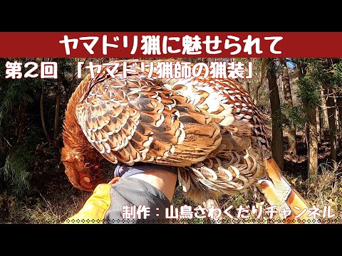 ヤマドリ猟に魅せられて 第２回 ヤマドリ猟師の猟装紹介  (山鳥猟) Copper Pheasant hunting