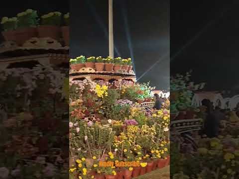 Lahore Race course park flower exhibition #flower #exhibition2024 #viral