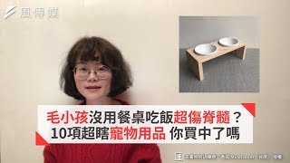 毛小孩沒用餐桌吃飯超傷脊髓？10項超瞎寵物用品 你買中了嗎