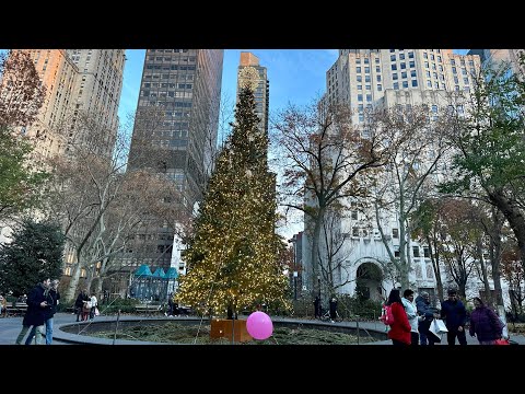 New York LIVE From  Manhattan On Sunday Evening (08 December 2024)