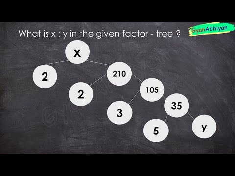 What is x : y in the given factor - tree ?