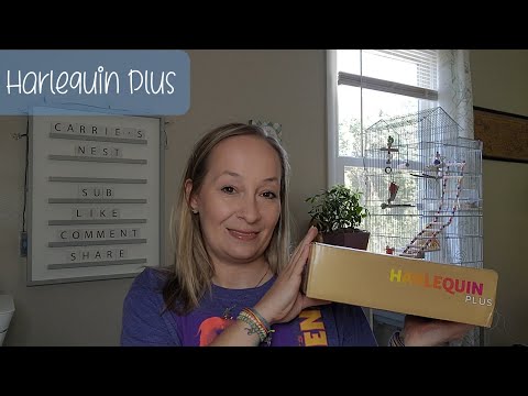 Harlequin Plus Unboxing and Some Exciting Updates! #harlequinplus #unboxing #etsyshop