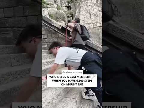 Mount Tai: 6,600 Steps of Pure Torture #shorts