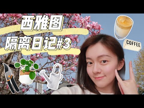 VLOG#3 机智的宅家生活 | 400次咖啡 | 园丁上线 | 囤卷纸