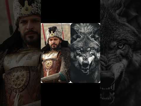 Top historical sultan in the form of animals sign #ertugrul #osman #alparslan #shortvideo #yt #viral