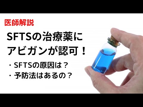 世界初！SFTSの治療薬にアビガンが認められた件について解説します