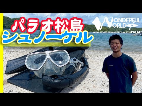 【パラオ松島でシュノーケリング】ワンダフル ワールド パラオ(WONDERFUL WORLD PALAU)