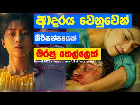 කිරි සප්පයෙක් නිසා ජිවිතය උඩුයටිකුරු වුන ඇය |Ending Explanation | Lokki Recaps