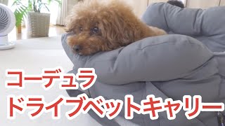 【ラディカ】Lサイズ購入！5キロ超デカプーコチラwww #ドライブベットキャリー