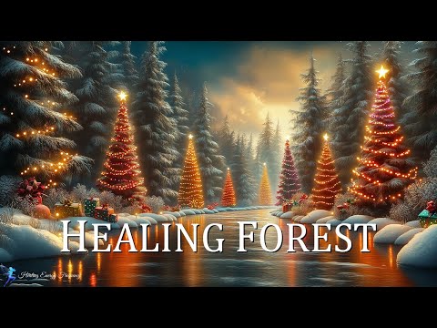 Healing Forest Ambience | 432Hz + 528Hz, Christmas Serenity | Balance Energy & Restore Inner Peac...