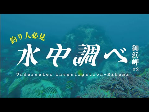 伊豆 水中ドローン 水中調べ〜戸田御浜岬〜