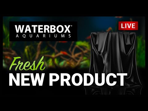 Episode 158:  Fresh New Product Announcement You Don't Want To Miss!