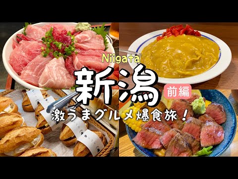 【新潟&村上/前編】激うまグルメ旅！絶品マグロ丼「いそべ」/黒毛和牛ステーキ丼/ジェラートアイス「村恭」/バスセンターの定番カレー/観光食べ歩き