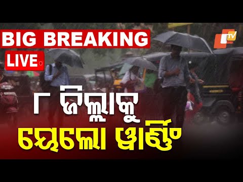 🔴Live | ୮ ଜିଲ୍ଲାକୁ ୟେଲୋ ୱାର୍ଣ୍ଣିଂ | Weather Updates | Odisha | OTV Live | Odisha TV | OTV