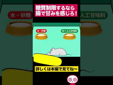 【世界の論文】腸が甘み感じているらしい 　#shorts