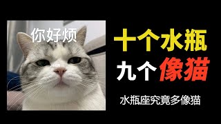 水瓶座究竟有多像猫咪？12星座里最像猫的星座。10个水瓶座9个像猫