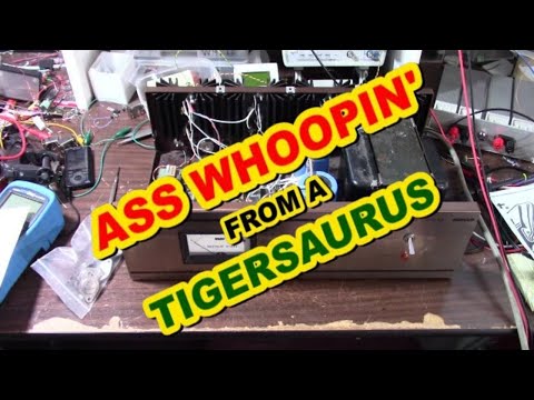 SWTP Tigersaurus 210/A amplifier oscillation problem