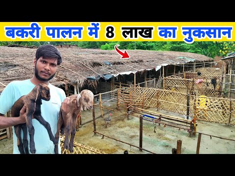 कम खर्चे में बनाया हाईटेक🔥 बकरी फार्म ~ पर एक गलती 8 लाख का नुकसान | Goat farming