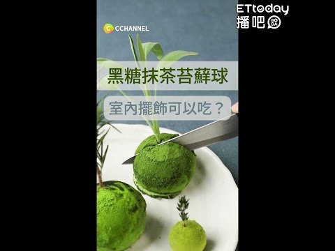 室內擺飾可以吃？黑糖抹茶苔蘚球 #Shorts