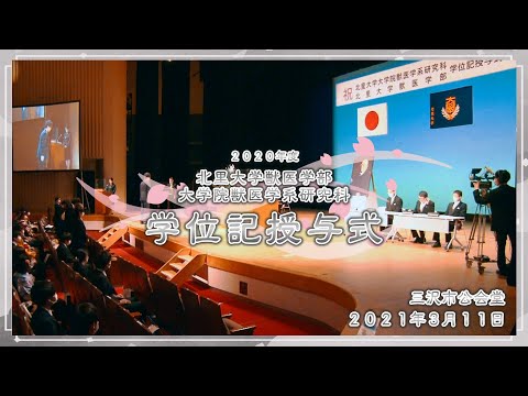 北里大学獣医学部 2020年度 学位記授与式