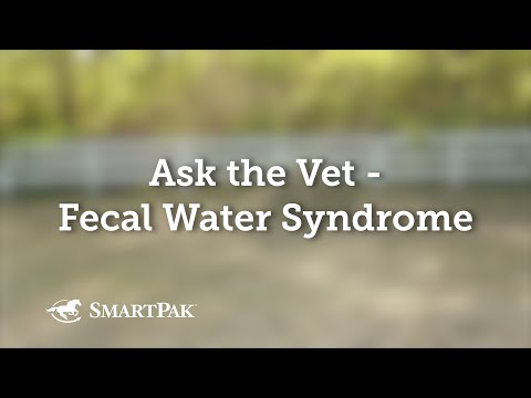 Ask the Vet - Fecal Water Syndrome