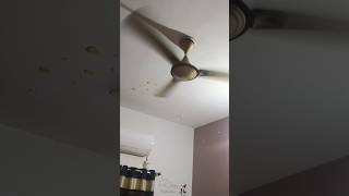 Ceiling fan #shorts #ytshort #trending