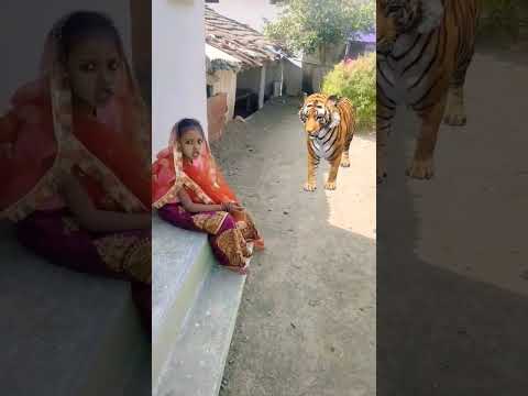 👉😍🐅 छोटी बहु शेर...#chhoti bahu#balika vadhu#saas Bahu ki nok jhok#funny#shorts#viral#शेर