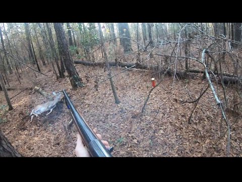 Management Deer Hunts 2021 (5 kills on camera)