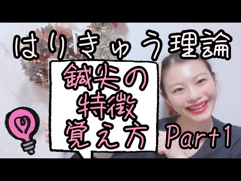 【はりきゅう理論】鍼尖の種類と特徴の覚え方！！part1語呂シリーズ？笑【Biancaなざと】