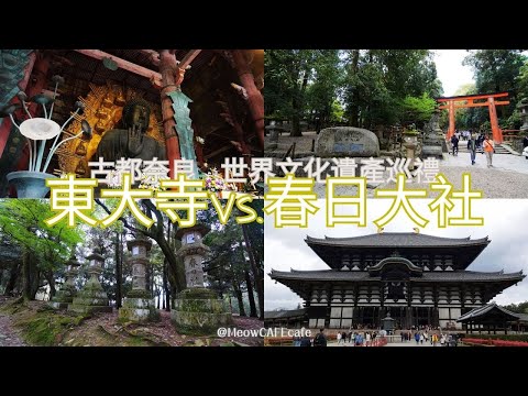 【奈良観光♡東大寺＆春日大社】世界文化遺產巡禮｜Tōdai-ji｜Kasugataisha｜Manyou Botanical Garden｜萬葉植物園｜古都奈良｜奈良商店街｜星巴克咖啡奈良猿沢池店