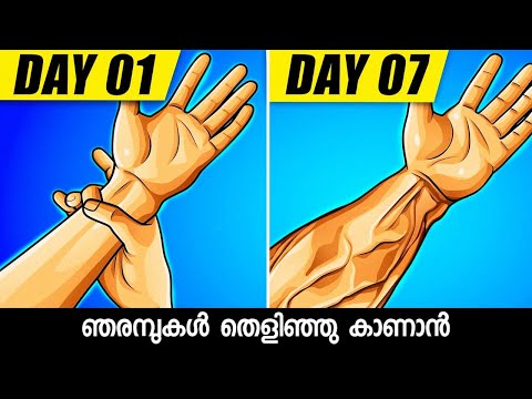 VEINY ARMS in just 3 Minutes | Hand Veins Home Workout |Get Bigger Arms in 30 DAYS !( Home Workout )