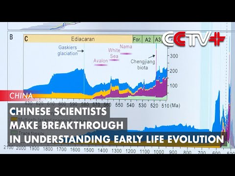 Chinese Scientists Make Breakthrough in Understanding Early Life Evolution