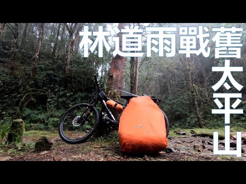 2021 寒冬 四季林道 嘉平林道上線 登山車 MTB mountain bike Si-ji and Jia-ping trail I-lan.