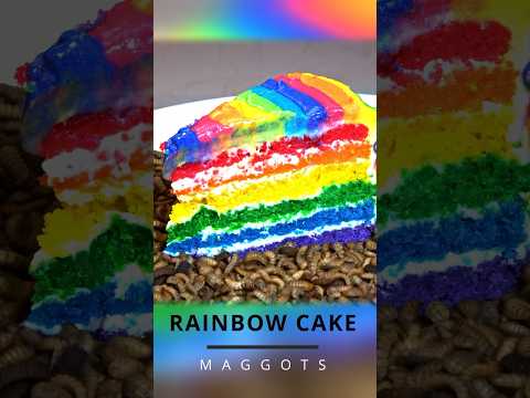 Rainbow cake vs Maggots Mealworms #closeup #mealworms #rainbowcake