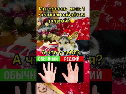 СМЕШНЫЕ ЖИВОТНЫЕ | интересно, хоть 1 человек найдётся редкий? 🧐