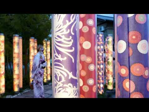 Kimono Forest 友禪的光林 京都市 京都府 Japan 2024