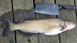 Catfish Catch Clean & Cook - Bank Fishing Tips and How to Catch Catfish from Shore