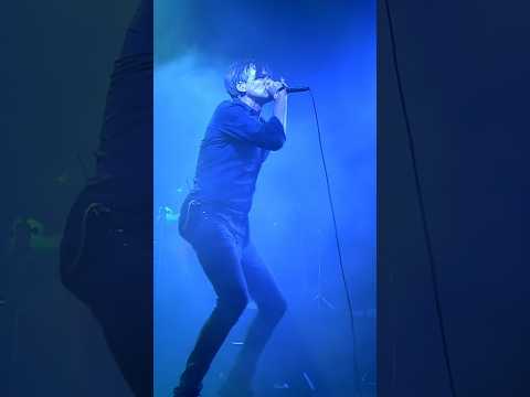 Animal Nitrate - Live at Primavera Sound, 2019. #Suede #Britpop