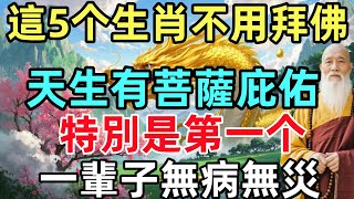 這5个生肖不用拜佛，天生有菩薩庇佑！特別是第一个，一輩子無病無災！#生肖#生肖運勢#命理#風水#十二生肖#元旦#禅心语录