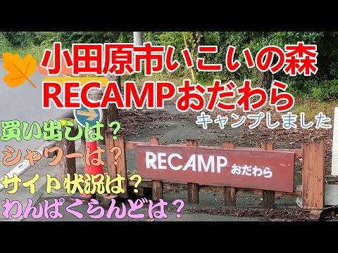 【キャンプ】小田原市いこいの森RECAMPおだわらでキャンプしました。隣はフォレストアドベンチャー小田原や、こどもの森公園わんぱくらんどがあります。小田原厚木道路の荻窪ICから車で5分。ノサウナがあり