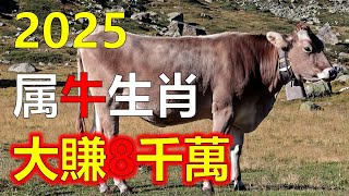 屬牛人2025年整體運程最准的預測，生肖屬牛人2025年全年運勢及運程詳解，2025年12生肖运势，十二生肖，生肖運勢，2025運勢，2025生肖，2025年生肖运程，2025生肖運勢#十二生肖