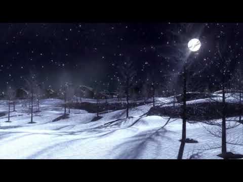 Snowfall at Night | Copyright Free Video Footage