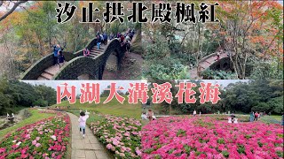 2023 汐止拱北殿楓葉紅了 - 必拍的三緣橋及雙拱橋 I 內湖大溝溪親水公園花海 將近5千盆的繡球花海 I 貳樓餐館的跨年大餐 I 2023年的最後一支影片