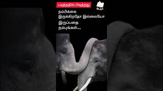 #tamil #tamilkavithai #shortsfeed #shortquotes #tamilviralvideos #shortsviral #life #hope #believe