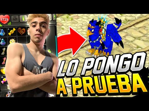 PONEMOS A PRUEBA MI PERSONAJE EN PVP 105 [DOFUS TOUCH]