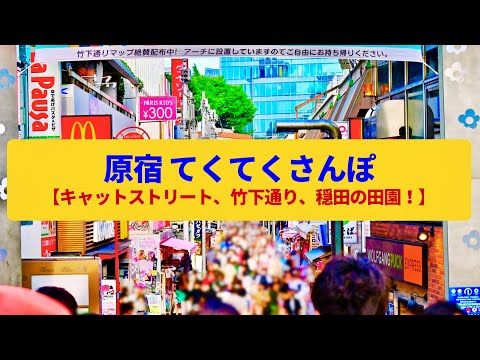 【てくてくさんぽ】原宿　ファッションとアートの最先端、穏田の田園の名残〈キャットストリート、裏原宿、竹下通り〉Walk around Harazyuku,TOKYO JAPAN